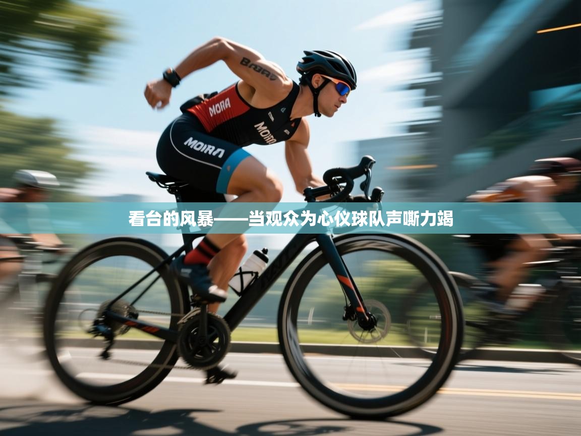 看台的风暴——当观众为心仪球队声嘶力竭 第2张