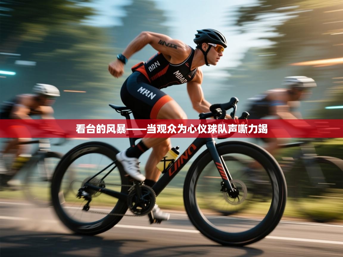 看台的风暴——当观众为心仪球队声嘶力竭